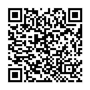 再加上乔治昨天回去以后可能也调整了一下自己的表演方法二维码生成