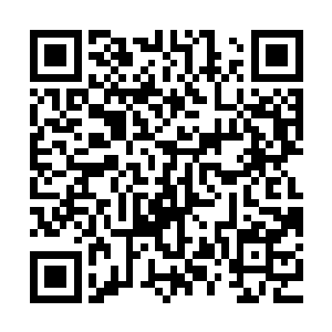 再加上也没人会想到以黄老的身份会轻装简行来一家新开张不久二维码生成
