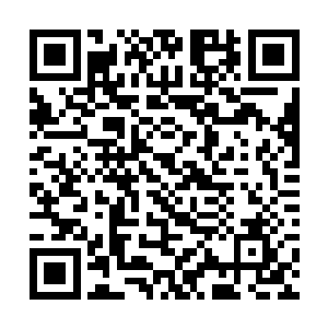 再加上他实力也比一般举霞初期境界的修士强上不少二维码生成