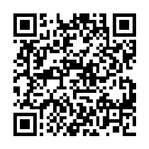 再加上其他几个没有谋反的院主和长老通过晶牌传来信息二维码生成