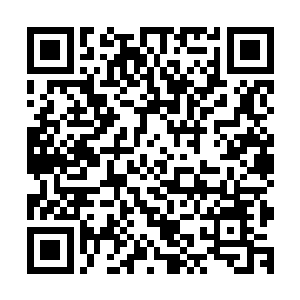 再加上前世中那经历多场生死之间的战斗所磨炼出的战斗意志二维码生成