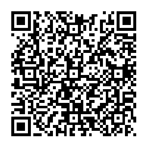 再加上前进的路上他难免也会受到一些创世神雷和灭世天火碰撞之后所产生的冲击波的波及二维码生成