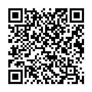 再加上十多年前在轮回秘境中吸收了轮回精华中的无数记忆二维码生成