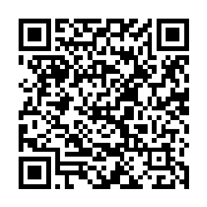 再加上原本给将士们承诺了一大堆福利的皇帝已经死了二维码生成