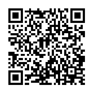 再加上双方又的确是有着师门传承上的师叔师侄的关系二维码生成