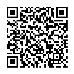 再加上团队也已经经过了相当长一段时间好几部戏的磨合二维码生成
