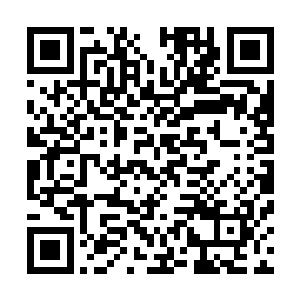 再加上塔尔塔罗斯根本不会将注意力放在这么一个弱者身上二维码生成