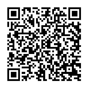 再加上将自己逼到狼狈不堪的实力……文川不由是对李思辰的身份和来历二维码生成