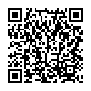 再加上归一大神他们和灵宝部落军队的轮番攻击二维码生成