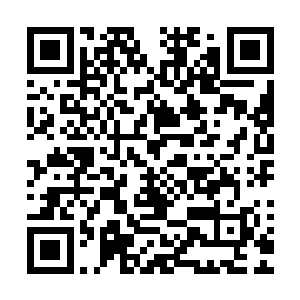 再加上潜龙战队随时听从他们的调遣行动起来更是方便的很多二维码生成