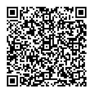 再加上现在在燕京城某部委工作的陈燕青以及因为父辈职位的升迁而进入部队大院居住的王凯旋二维码生成