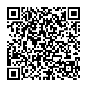 再加上赫拉迪姆系列的禁器一旦离开了所属区域便等于变成了废物二维码生成