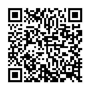 再加上这些力量大多都是在他们自己的世界和母星之中爆发二维码生成