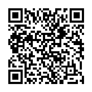 再加上这次拍卖会赚取的仙石可以给他们带来更多的资源二维码生成