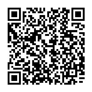 再加上这纤细绵软如若无骨一般的纤纤玉指谁又能想到这样的一双绝美的手二维码生成