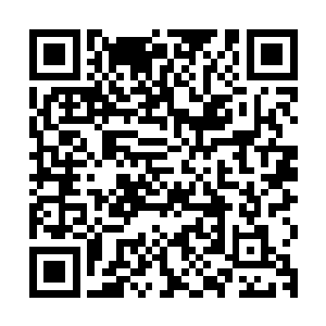 再加上那些暂时无法替换但已经被金字塔集团牢牢控制住的傀儡二维码生成