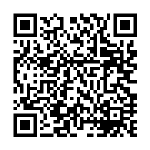 再加上顶在前线的一众天位强者和那些悍不畏死的异形军团二维码生成