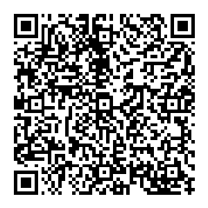 再加上w1这支队伍本身就是属于那种就算明知要输我也要往下拖能苟延残喘几分钟就苟延残喘几分钟的无赖型打法风格二维码生成