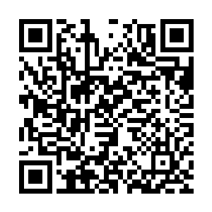再加之为民调任中央担任中央政研室副主任和中联部副部长之后二维码生成