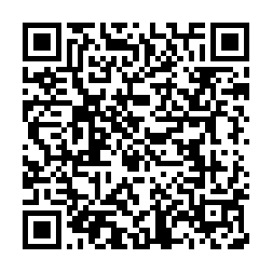 再嚷全屋子的人都醒了……求你别哭了……你藏到被窝里哭行不行二维码生成