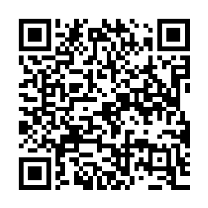 再想一想到时候老板娘洗澡……洗澡得脱去衣服……到时候……二维码生成