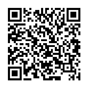 再把所获取的资金跟技术立刻用于新技术的立项跟研发二维码生成