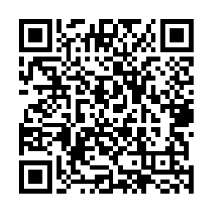 再把这些老怪们带到收割结束的真药田让他们和器灵斗的二维码生成
