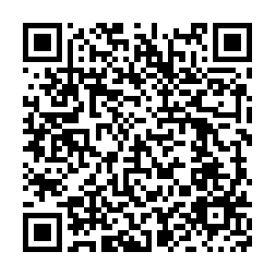 再有就是从深渊魔虎手中硬生生的将墨玉仙莲的莲蓬给抢走了……二维码生成