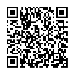 再次冲了上去不畏惧法级符咒的火焰直接将他揣进了血池二维码生成