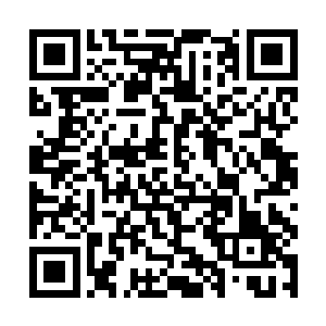 再次将神秘而广阔的气味世界展现在了林封谨的面前二维码生成