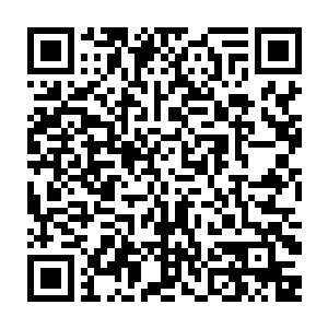 再次收获的一堆战利品也让流墨墨乐的大方的加了两成妖灵丹给葫芦岛海族二维码生成