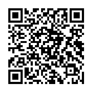 再次清晰地感受了一下从他们几人体内倾斜而出的气息二维码生成