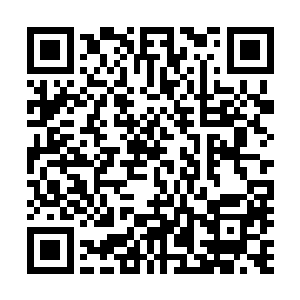 再没人敢抢他们怀里的准考证――毕竟剩下还有八张准考证二维码生成
