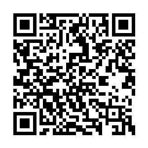 再没有比你更能体会燕无双所承受的这种痛苦了二维码生成