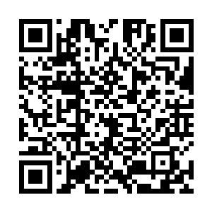 再没有百分之九十以上的确定性他们都不会动这座山峰二维码生成