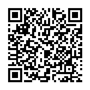 再淡定的人看到那么粗的闪电恩狠狠劈下也是会被吓得不轻的二维码生成