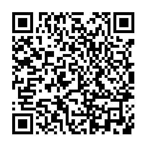 再看看不远处华阳宗和神机宗那十二个筑基期大圆满虎视眈眈的模样二维码生成