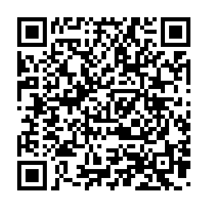 再硬着头皮撞上我们的某一次集火……更糟糕是叶青并无零号舰权限二维码生成