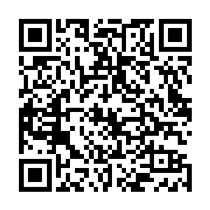 再者郡主找到的绝世兵书也在宁王手里……您让属下去楚地二维码生成