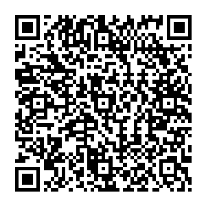 再说了就算是有的话山本瑟郎也不会让他的魔宠替下面那种低贱的亡灵抵挡这种程度的攻击的二维码生成