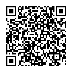 再过几天再提问绝对一板一眼的能把凌菲当初跟他说的话一字不差的给说出来二维码生成