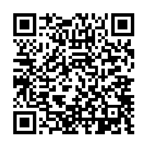 再过几年就算找不到回宫的路也能找些简单的活计养活自己二维码生成