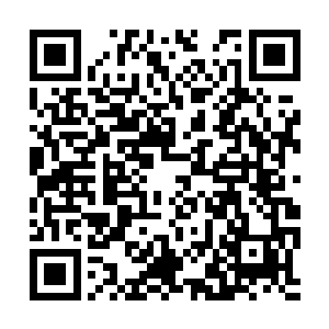 再这么下去会被归一域主的气质和英俊的容颜迷死二维码生成