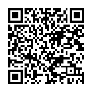 再配合大地之势的话……自己的实力完全可以再次提升十倍二维码生成