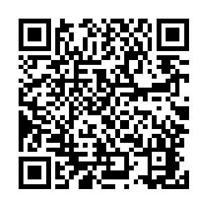 军中参谋蔡先生看着放置在桌上的一小块碎石不住的点头二维码生成