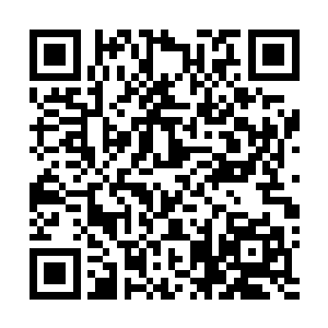 军警双方此次行动的负责人才在周边稍稍地研究了一下后二维码生成