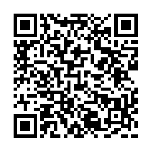 冠玉爷爷已经把我在b市玻璃花房里的小宠们全都打包带来了二维码生成