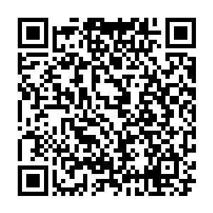 冬姬在这里过的如鱼得水――当然如果她不经常性的把它叫出去当导游的话二维码生成