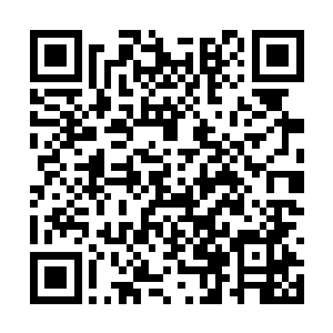 冯可行也在不动声色的琢磨着方璐和陆为民的对话二维码生成