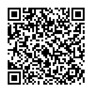 冯家二爷就知道凭他们几个人的力量想在这偌大的森林中把叶尊找出来机会很小二维码生成